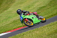 Vintage-motorcycle-club;eventdigitalimages;mallory-park;mallory-park-trackday-photographs;no-limits-trackdays;peter-wileman-photography;trackday-digital-images;trackday-photos;vmcc-festival-1000-bikes-photographs